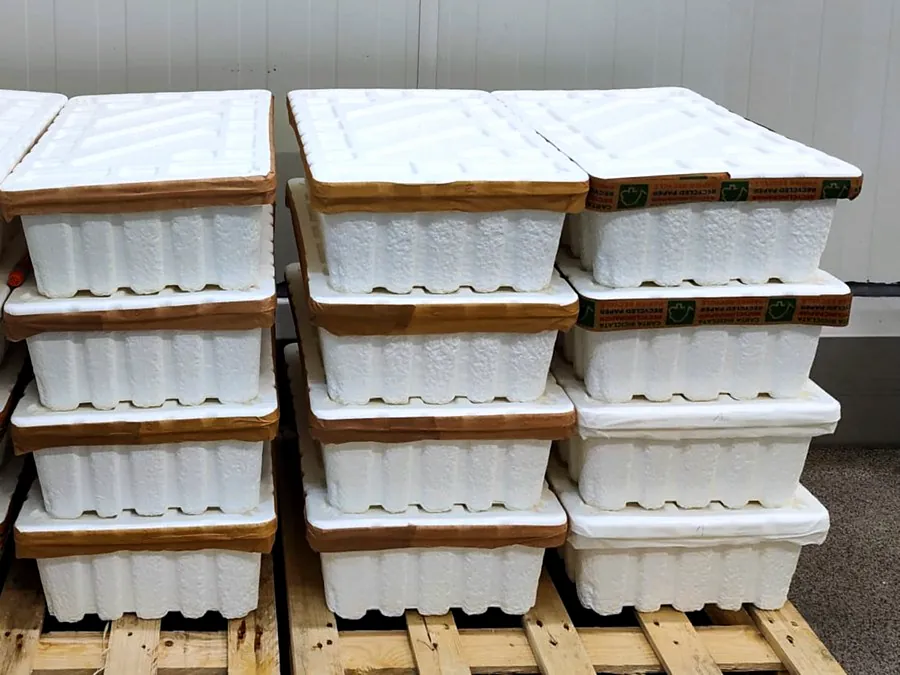 5-High Stacked Cold-Room Pallets