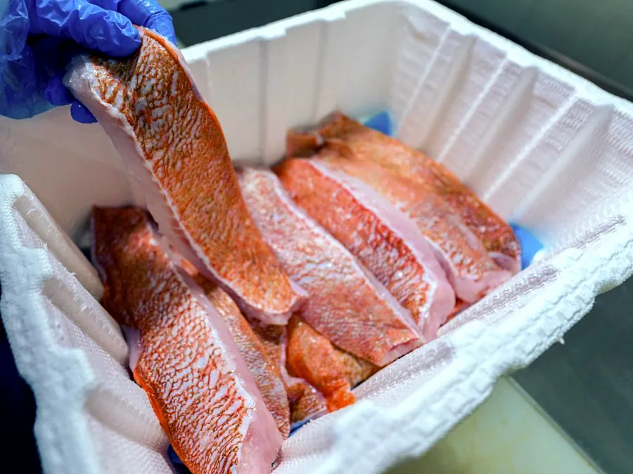 Fresh Fillets on Barrier Liner